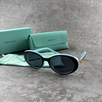 Elegant oval-frame sunglasses with contrasting color details and protective case on grey background.