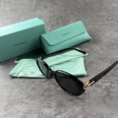 Classic black oval sunglasses with gold-tone temple accents, shown with protective case and pouch.