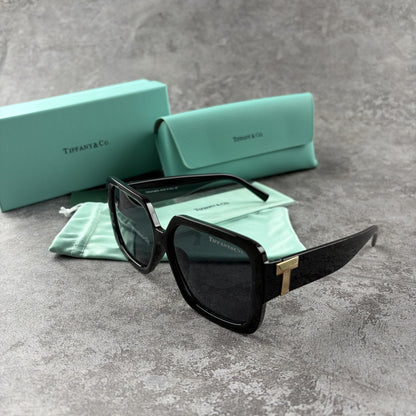 Oversized black square sunglasses with metallic side detailing, displayed with a storage case.