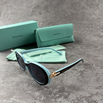 Elegant oval-frame sunglasses with contrasting color details and protective case on grey background.