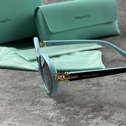 Elegant oval-frame sunglasses with contrasting color details and protective case on grey background.