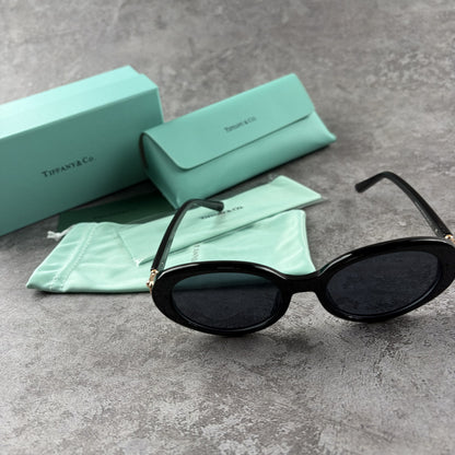 Classic black oval sunglasses with gold-tone temple accents, shown with protective case and pouch.