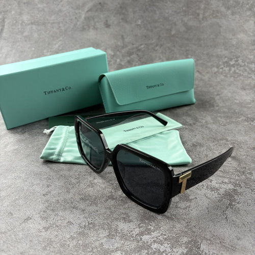 Oversized black square sunglasses with metallic side detailing, displayed with a storage case.