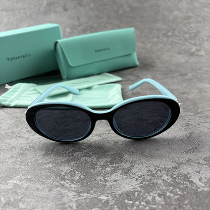 Elegant oval-frame sunglasses with contrasting color details and protective case on grey background.