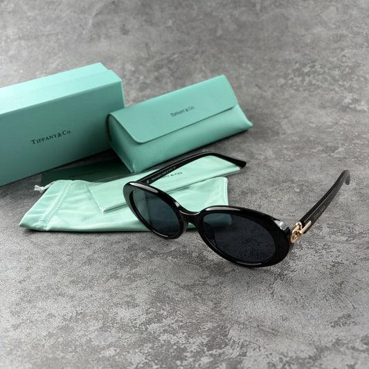 Classic black oval sunglasses with gold-tone temple accents, shown with protective case and pouch.
