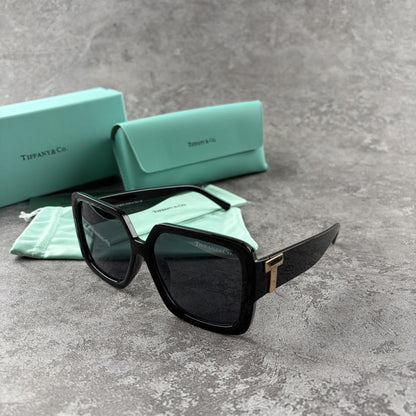 Oversized black square sunglasses with metallic side detailing, displayed with a storage case.